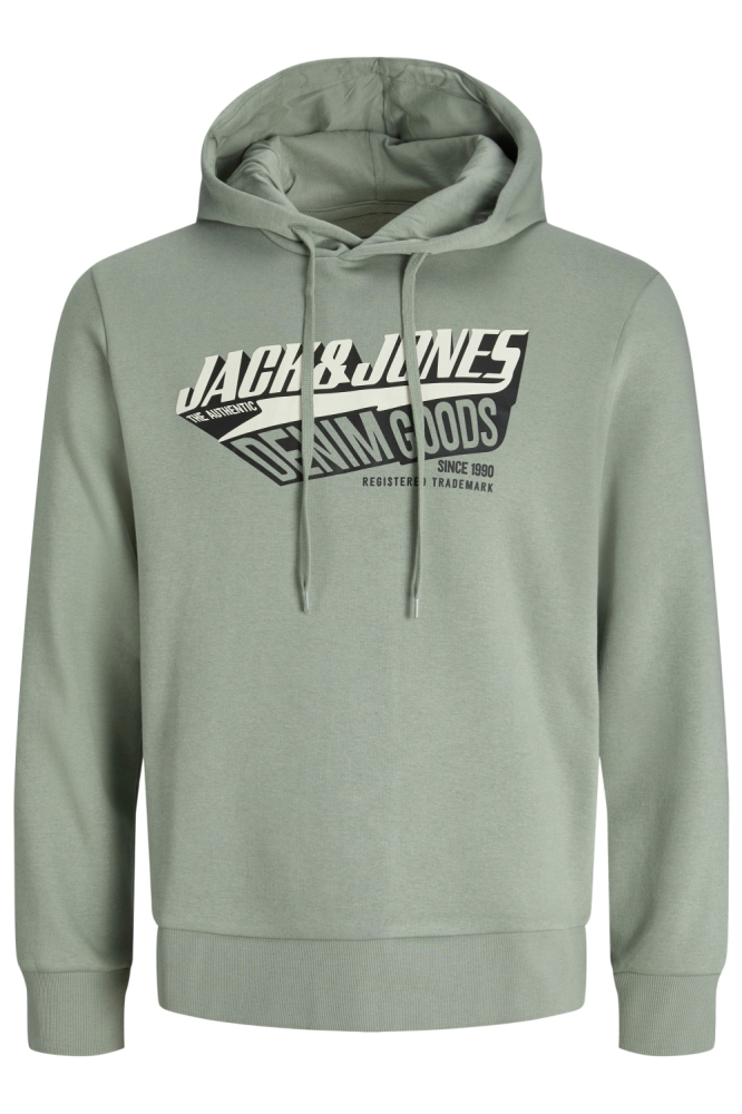 JJELOGO SWEAT HOOD 2 COL 25/26 NOOS 12279649 Iceberg Green